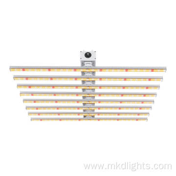 Best Indoor Plant Grow Light For Low Light